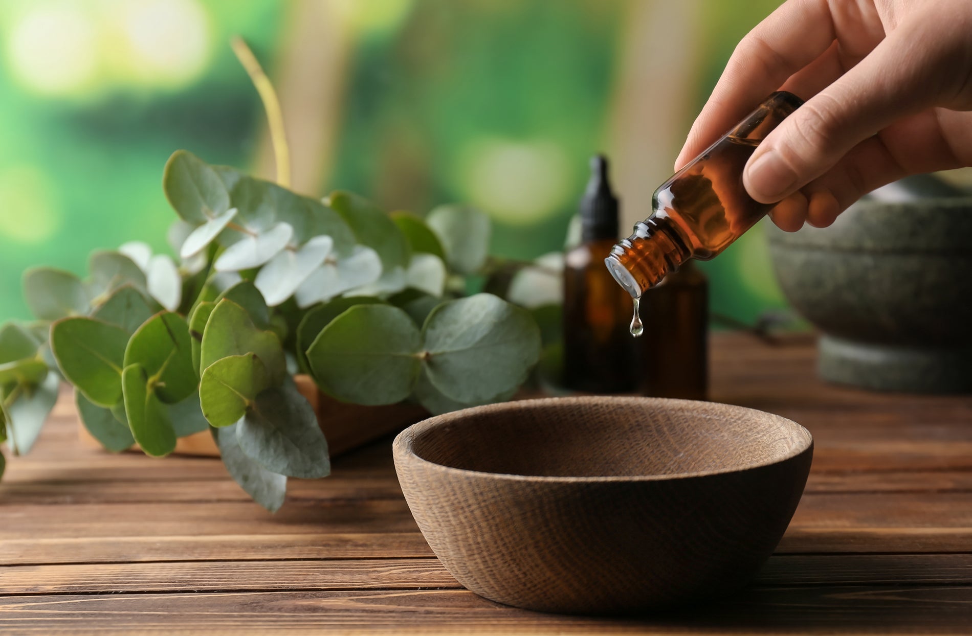 Health Benefits of Eucalyptus
