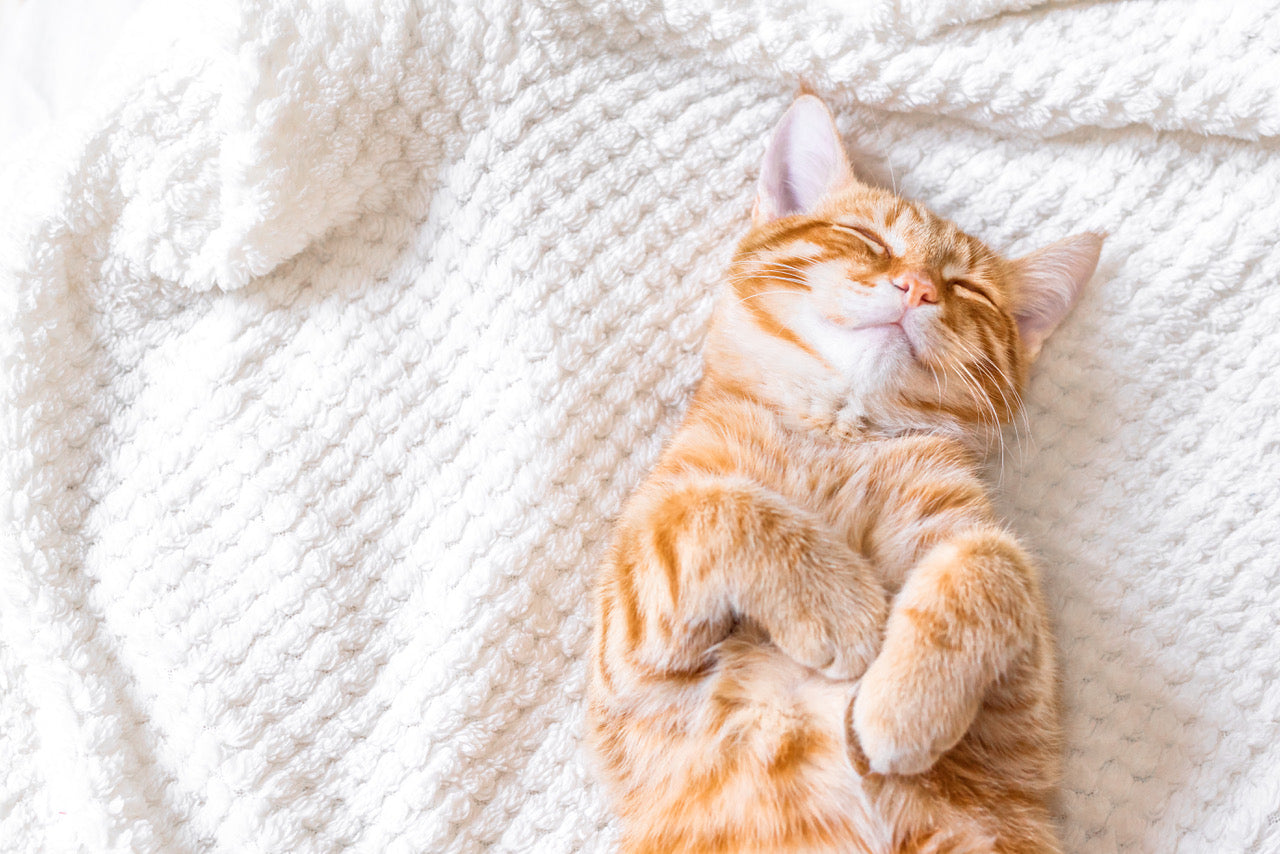 Good Reasons to Invest in a Heating Pad