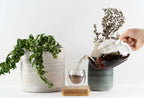Whole Body Detox Tea - Sacksy Thyme  