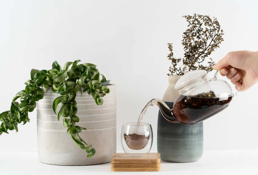 Whole Body Detox Tea - Sacksy Thyme  